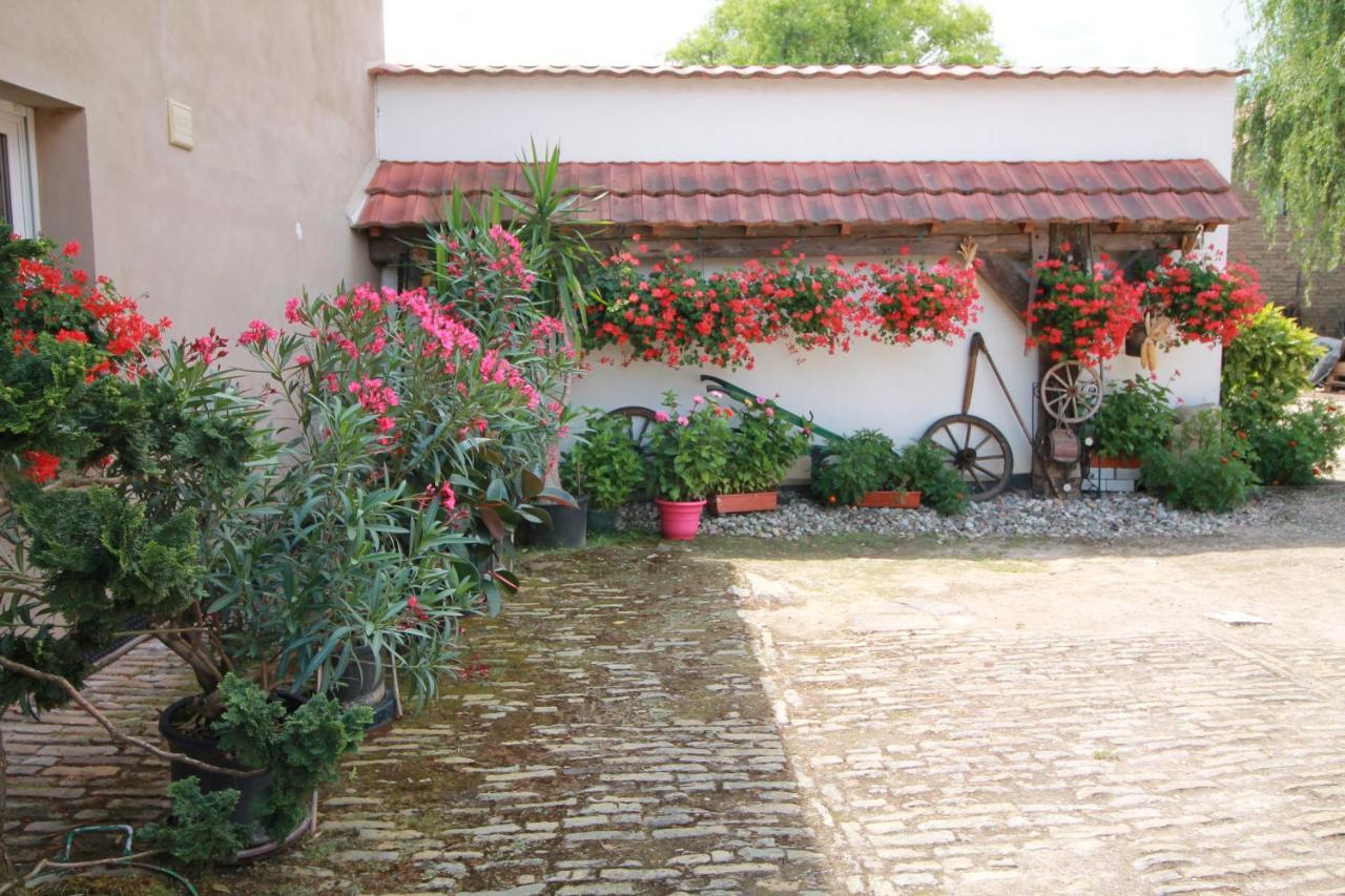 La chambre aux hirondelles Ittenheim Extérieur photo